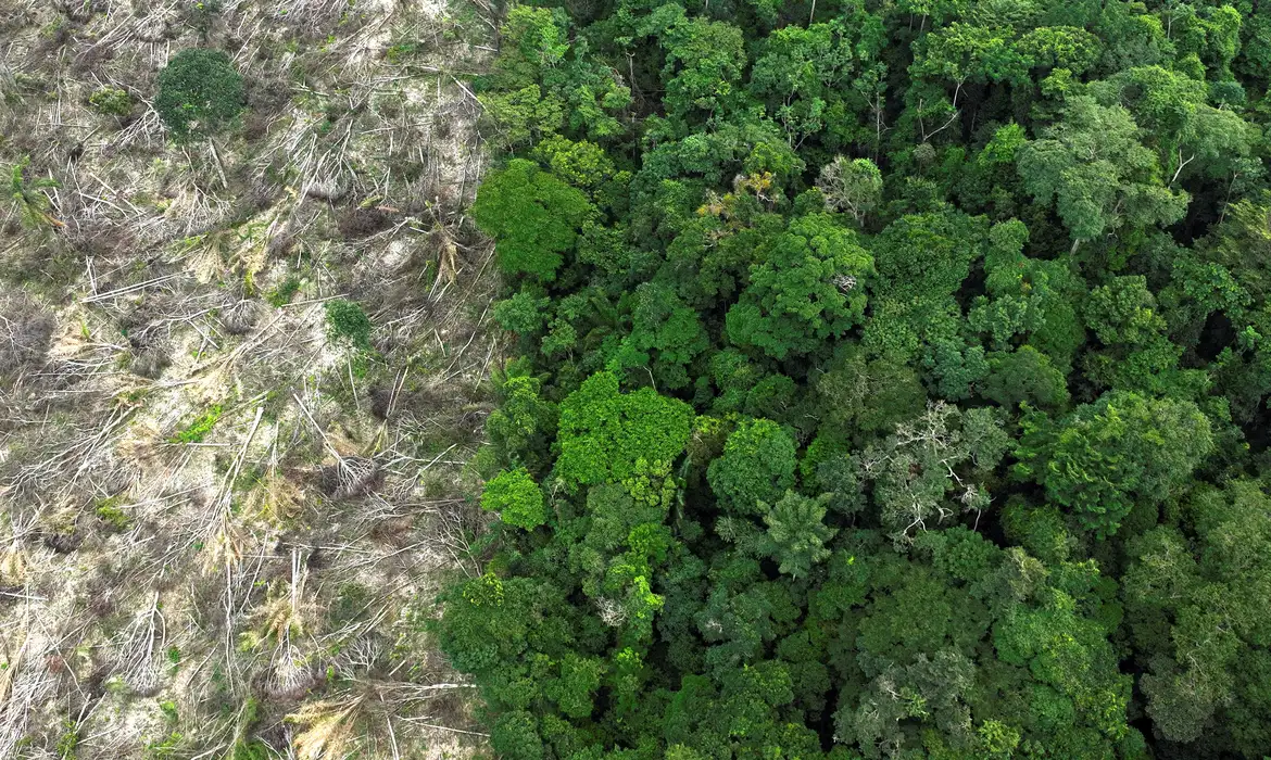 Efeitos das Mudanças Climáticas já Atigem População na Amazônia Legal 2 Efeitos das Mudanças Climáticas já Atigem População na Amazônia Legal - Imagem do artigo original