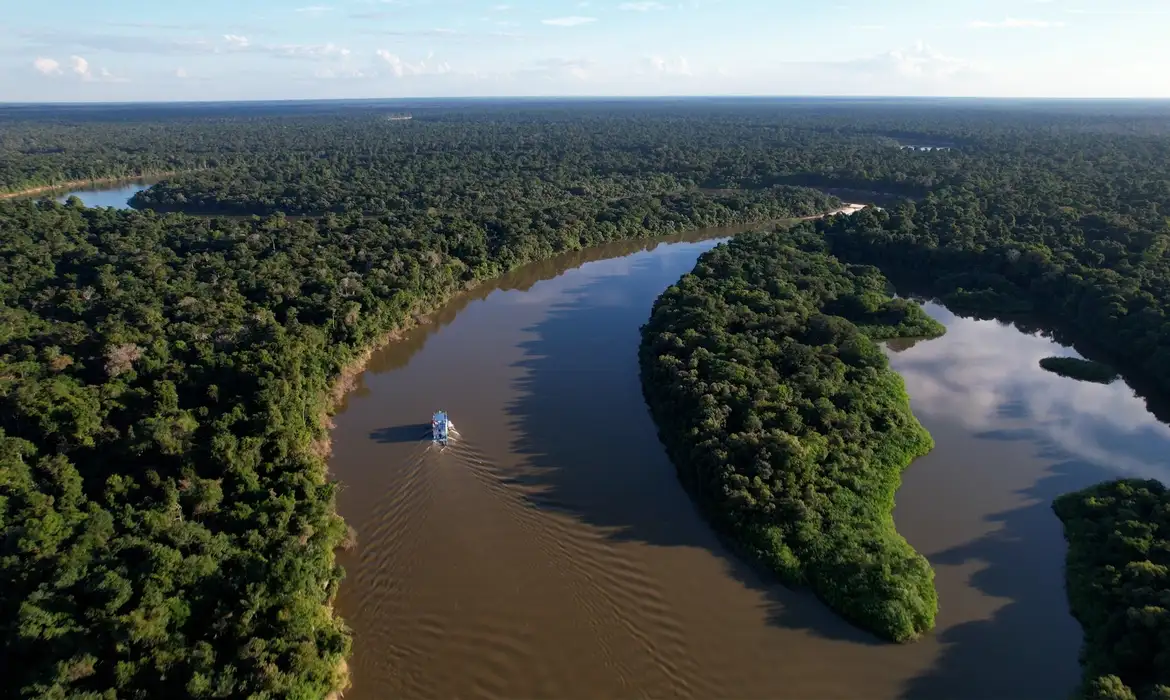 Extrativismo Sustentável na Amazônia é Foco de Reportagem 2 Extrativismo Sustentável na Amazônia é Foco de Reportagem - Imagem do artigo original