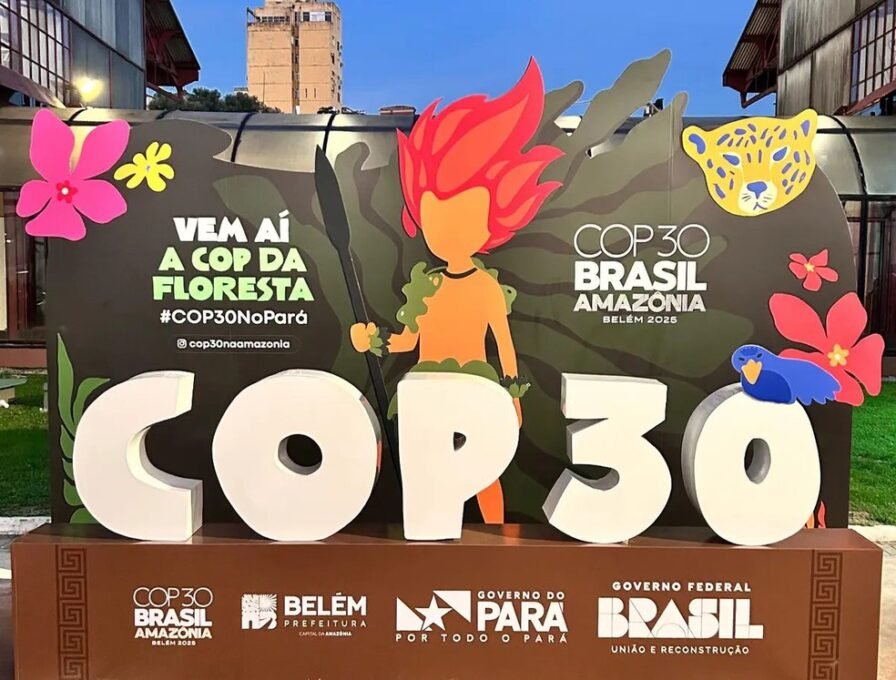 Brasil Lidera Aliança Global por Combustíveis Sustentáveis 2 Brasil Lidera Aliança Global por Combustíveis Sustentáveis - Imagem do artigo original