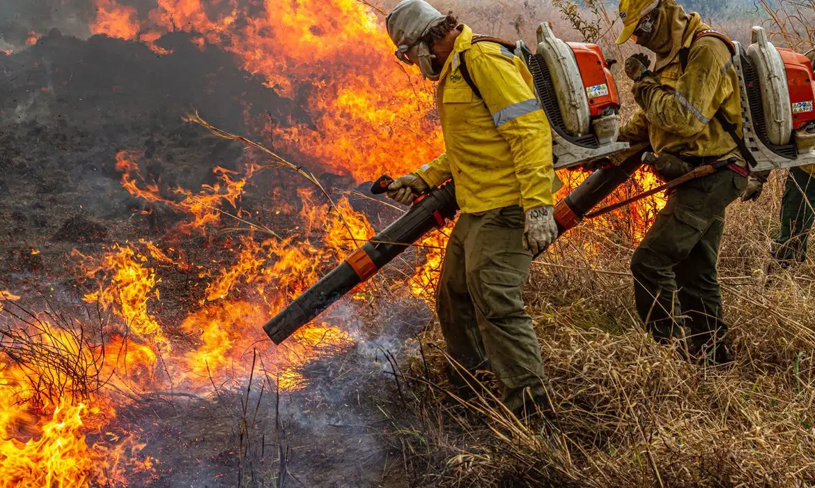 Brasil propõe resposta global a incêndios florestais na Pré-COP 2 Brasil propõe resposta global a incêndios florestais na Pré-COP - Imagem do artigo original