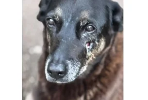 rss featured 16653 1769610110