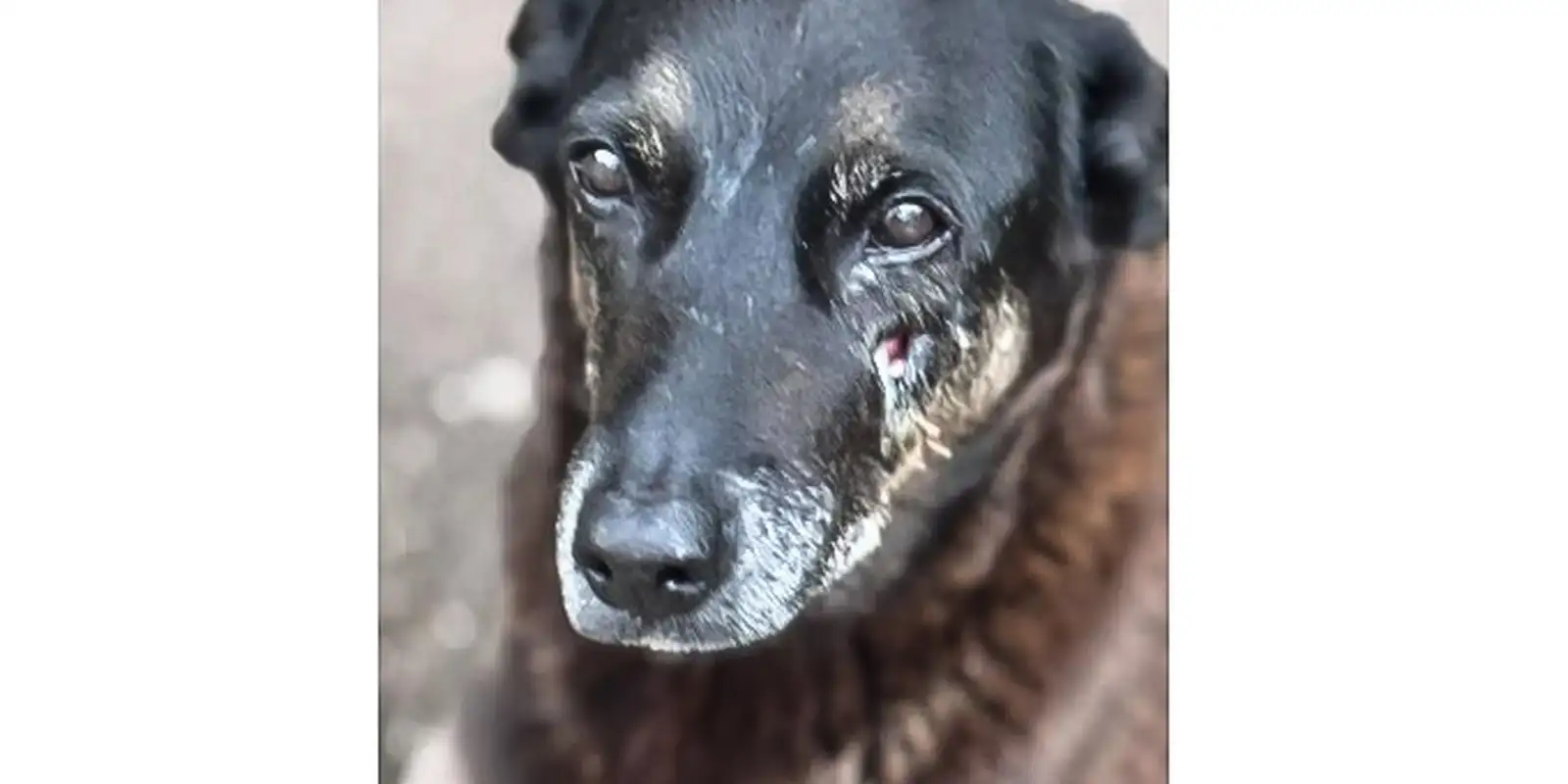 rss featured 16653 1769610110