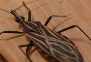 rss featured 16689 1769640720