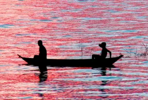 rss featured 16860 1770459239