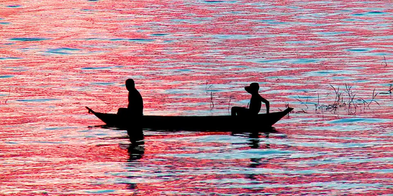 rss featured 16860 1770459239