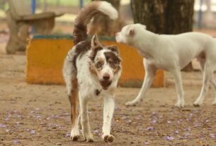 rss featured 17351 1771165307