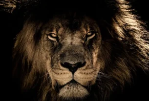 rss featured 17721 1771665757