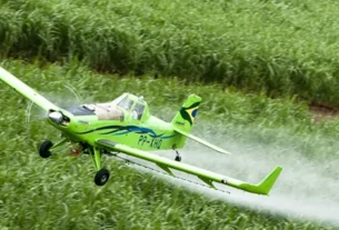 rss featured 17785 1771767435