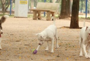 rss featured 17899 1771921333