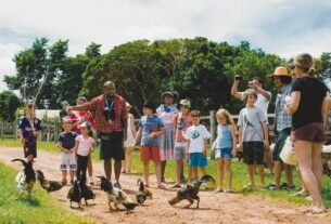 rss featured 17905 1771922213