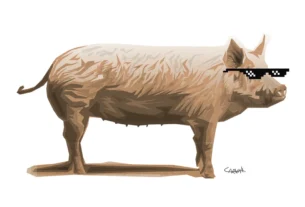 rss featured 18103 1772189649