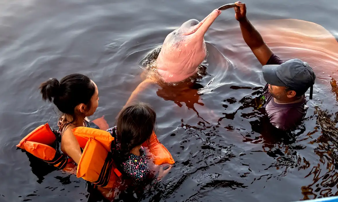 Insegurança Limita 62% das Mulheres Que Viajam Sozinhas no Brasil - Imagem do artigo original
