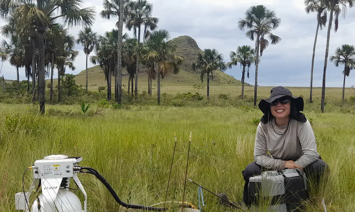 Cerrado armazena mais carbono que Amazônia, diz estudo - Imagem do artigo original