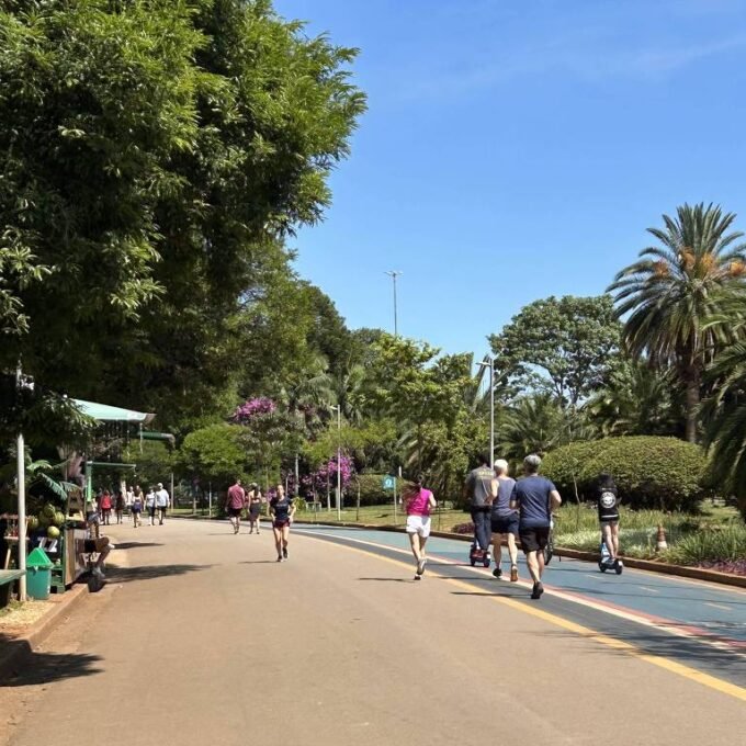 Previsão do Tempo em São Paulo: Sol e 28°C no Sábado (14) - Imagem do artigo original