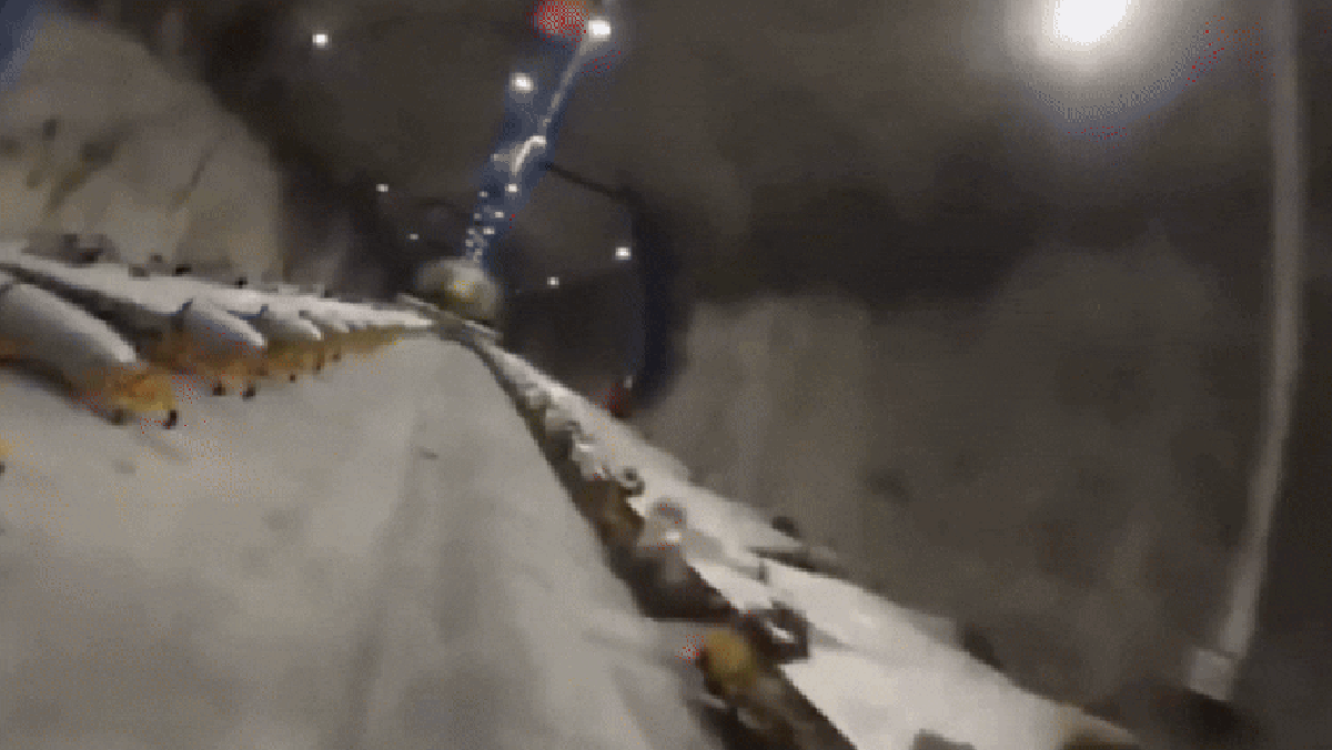 rss featured 18405 1772617888