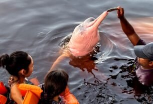 rss featured 18475 1772765475