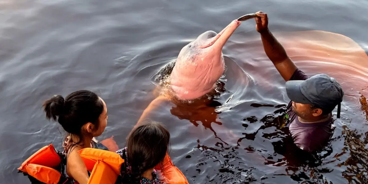 rss featured 18475 1772765475