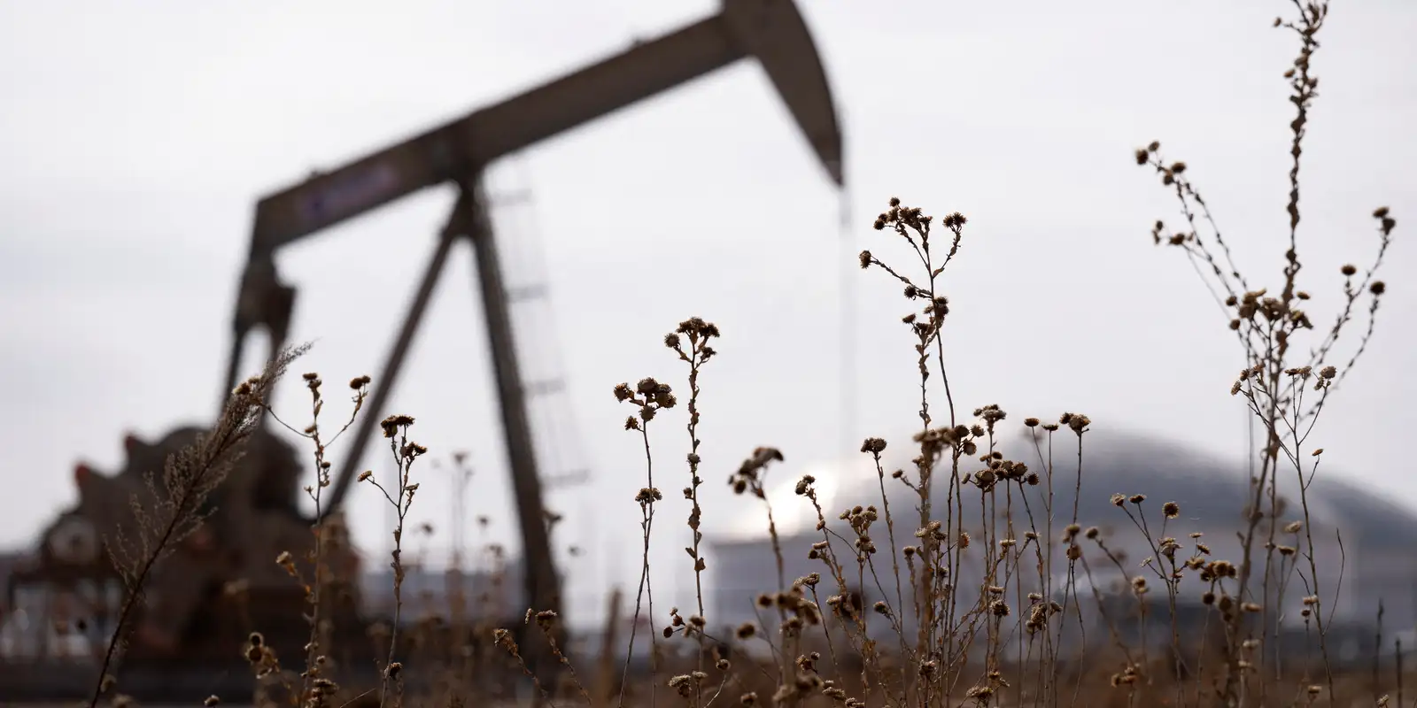 rss featured 18888 1773301081