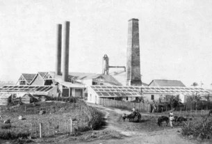 rss featured 18977 1773397348