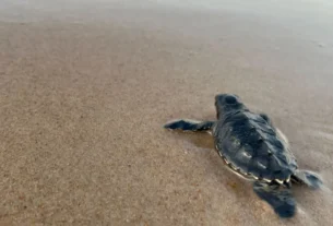 rss featured 19585 1774249690