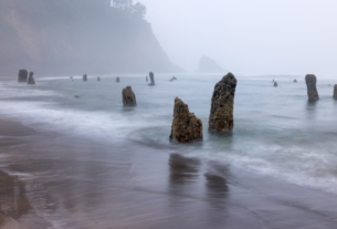 rss featured 19591 1774250488