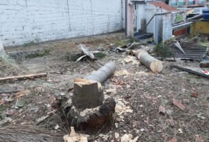 rss featured 19725 1774425116