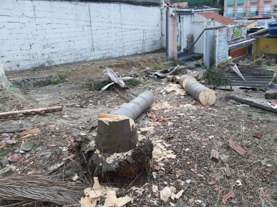 rss featured 19725 1774425116