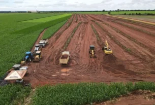 rss featured 19729 1774433234