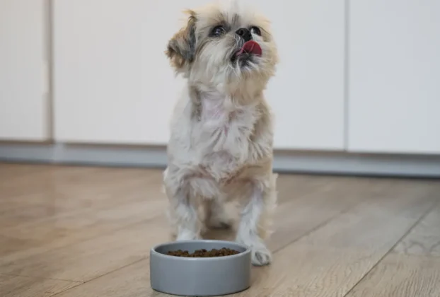 rss featured 19933 1774688040