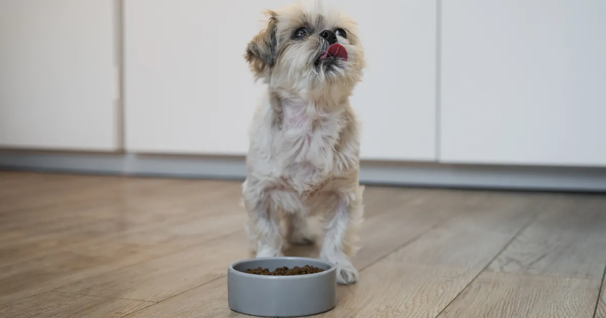 rss featured 19933 1774688040