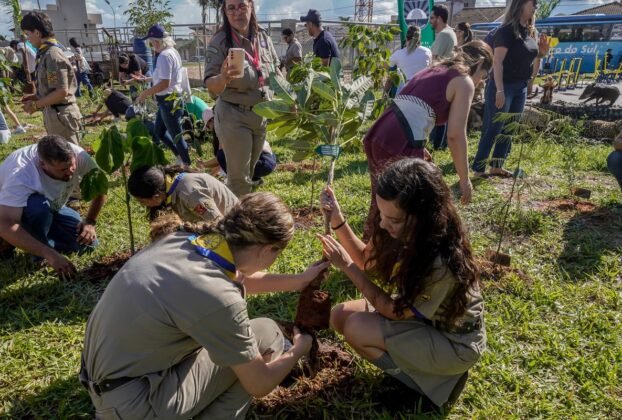 rss featured 20003 1774779877