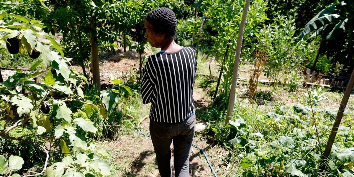 rss featured 20029 1774856246