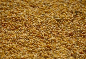 rss featured 20078 1774913815