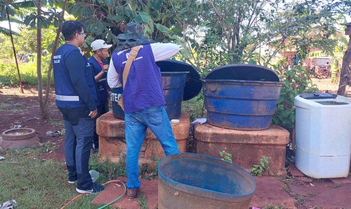 Chikungunya em Dourados: Ministro Classifica Situação Crítica - Imagem do artigo original