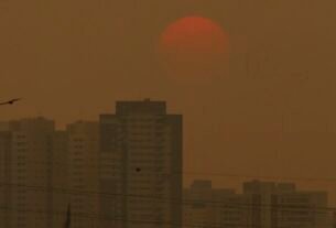 rss featured 20398 1775397208