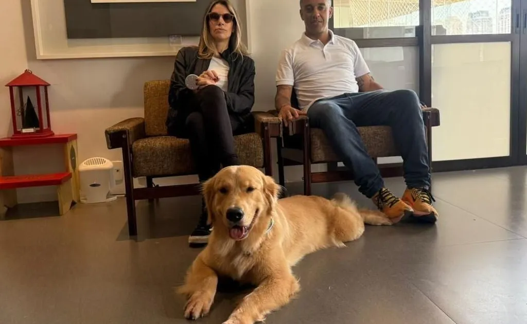 Cães de Alerta Médico Diabéticos: Detecção Precoce de Crises 1 rss featured 20549 1775640981