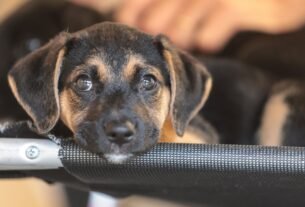 rss featured 20675 1776199895