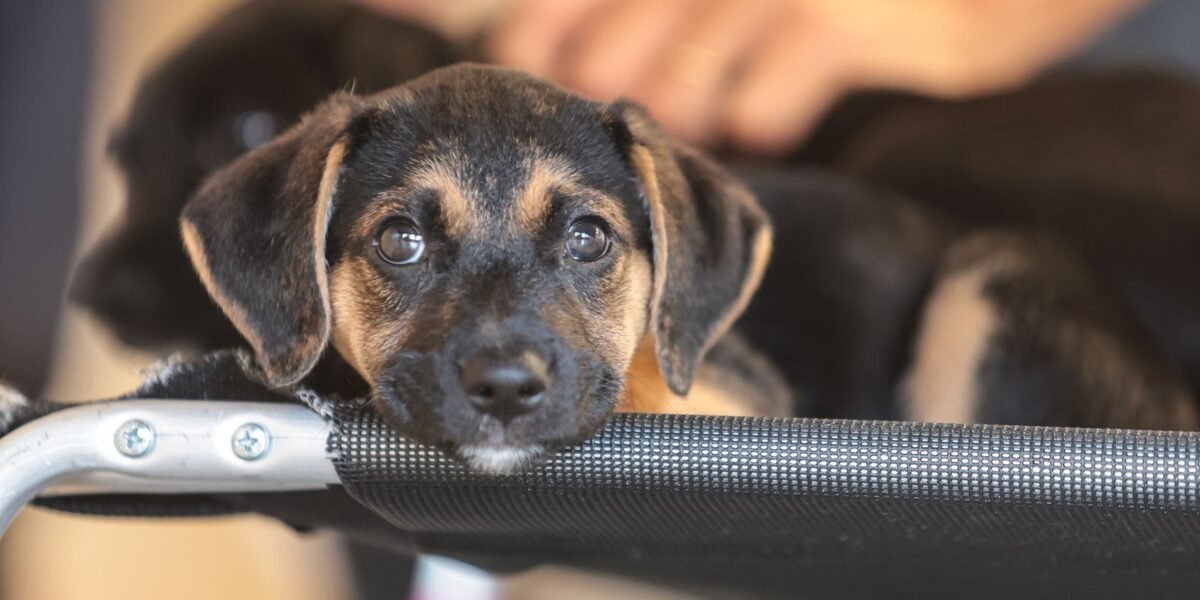 rss featured 20675 1776199895