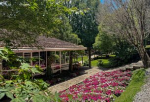 rss featured 20881 1776583360