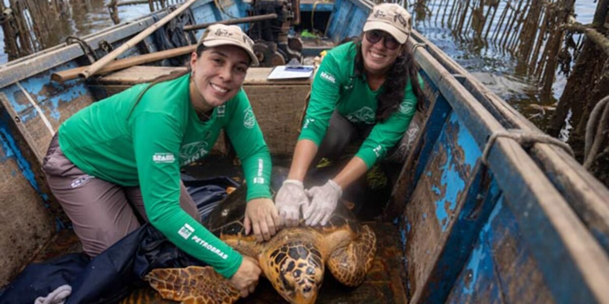 rss featured 21115 1777131707