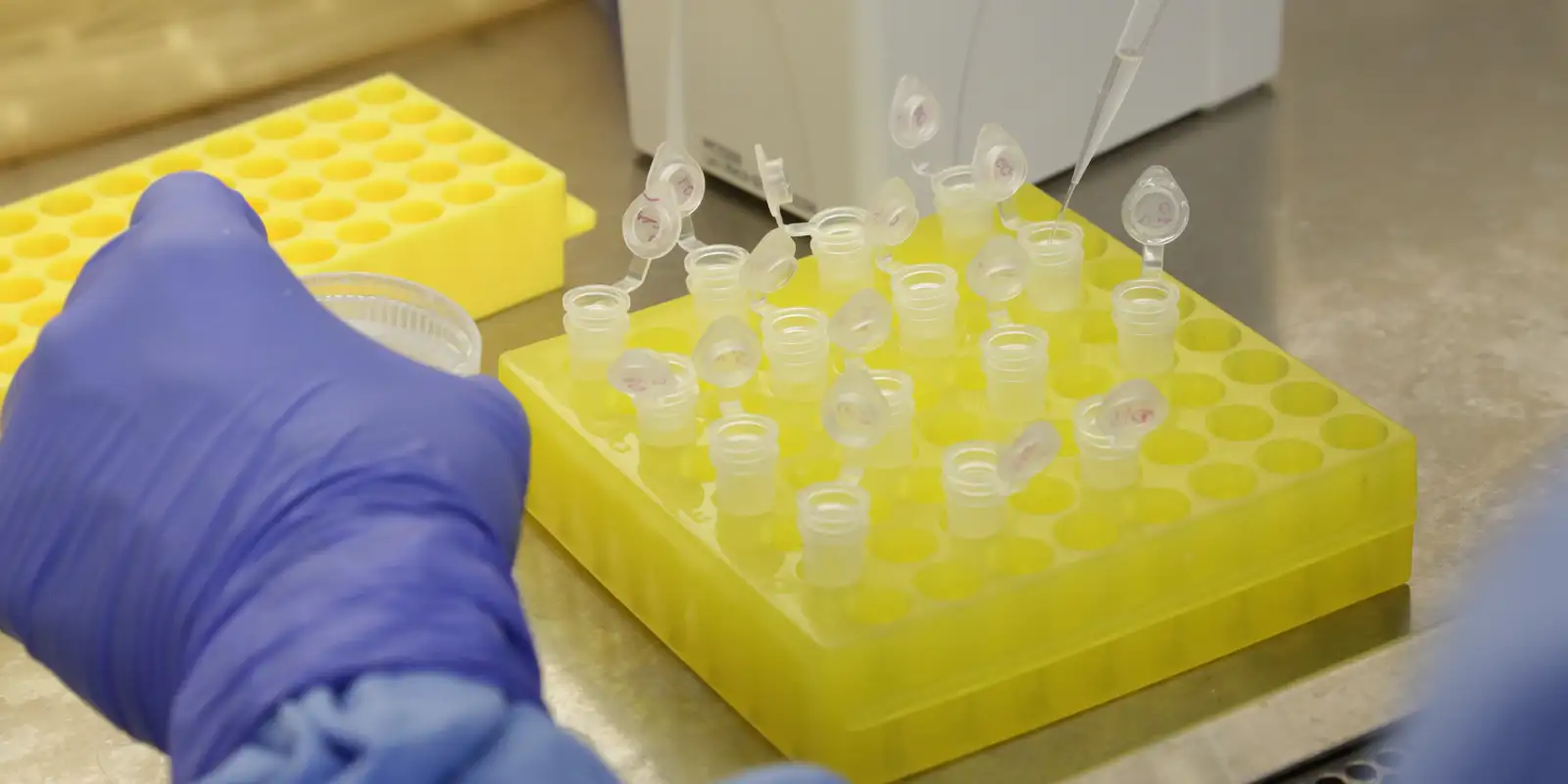 rss featured 21278 1777432987