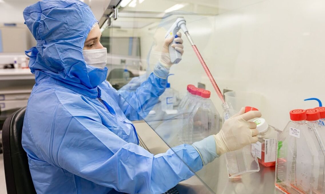 Células-Tronco Combatem Complicações em Transplante de Medula - Imagem do artigo original