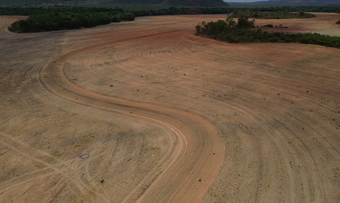 Fim da Moratória da Soja: Risco de Desmatamento na Amazônia 2 Fim da Moratória da Soja: Risco de Desmatamento na Amazônia - Imagem do artigo original