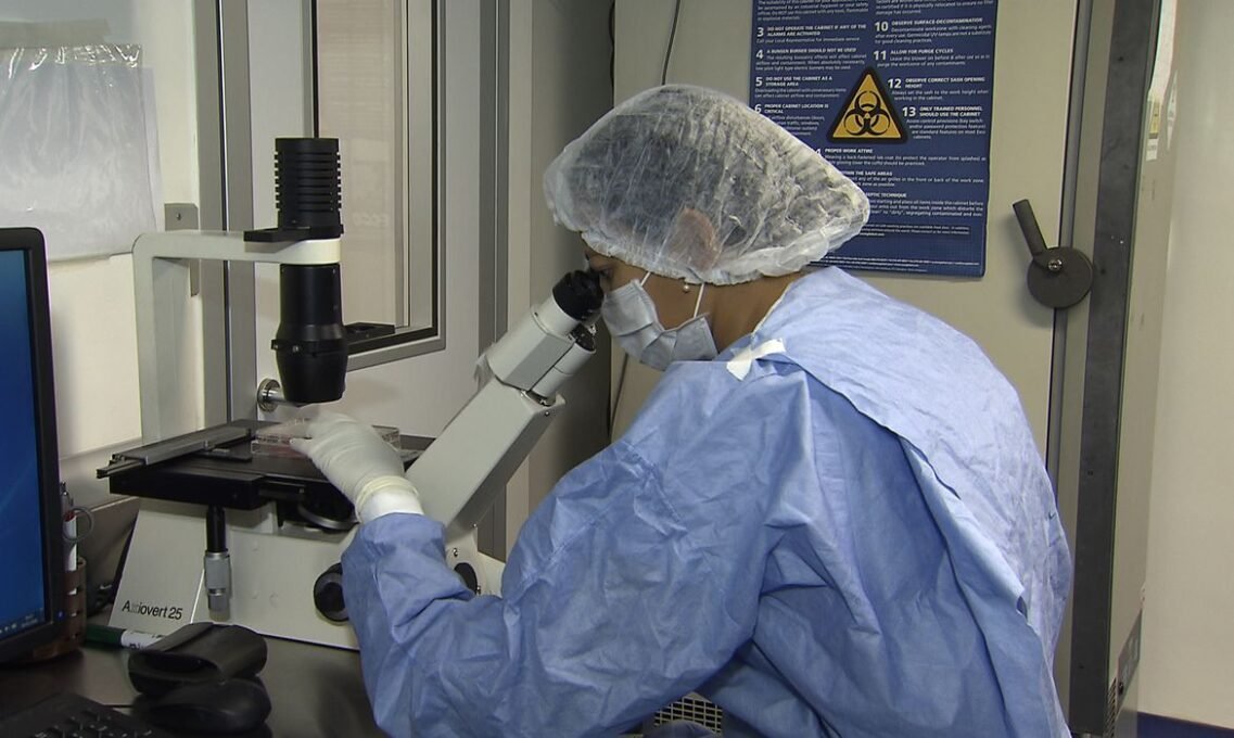 Remissão de HIV: Cientistas Anunciam Novos Casos Pós-Transplante 2 Remissão de HIV: Cientistas Anunciam Novos Casos Pós-Transplante - Imagem do artigo original