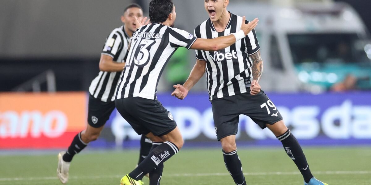 Botafogo vence Santos no Brasileirão com gol da base no fim 1 rss featured 24911 1784278310