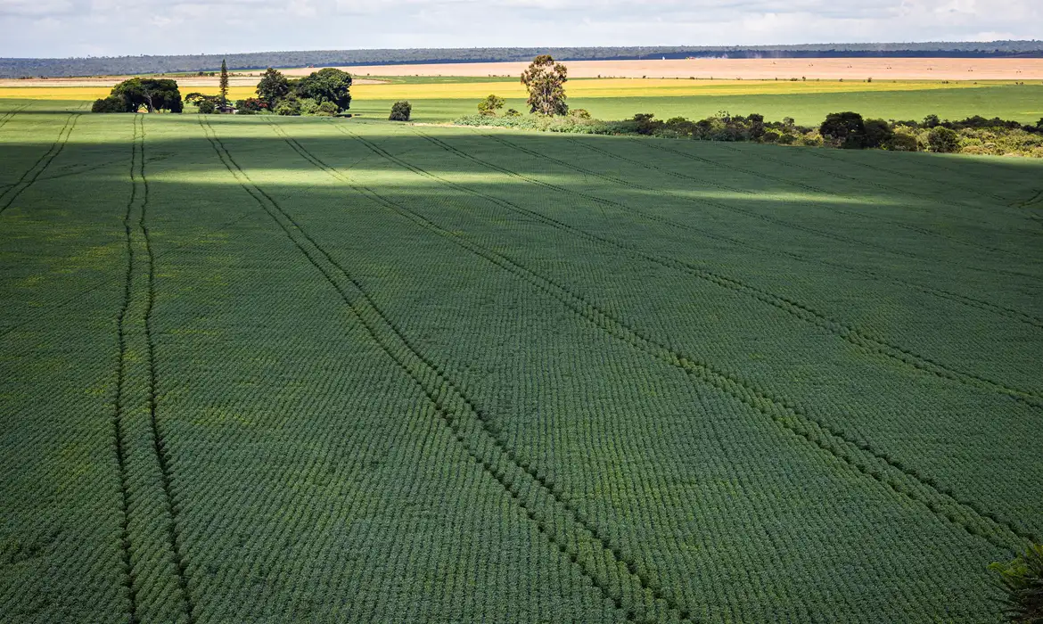 Senado Aprova Plano para Produção de Fertilizantes no Brasil - Imagem do artigo original