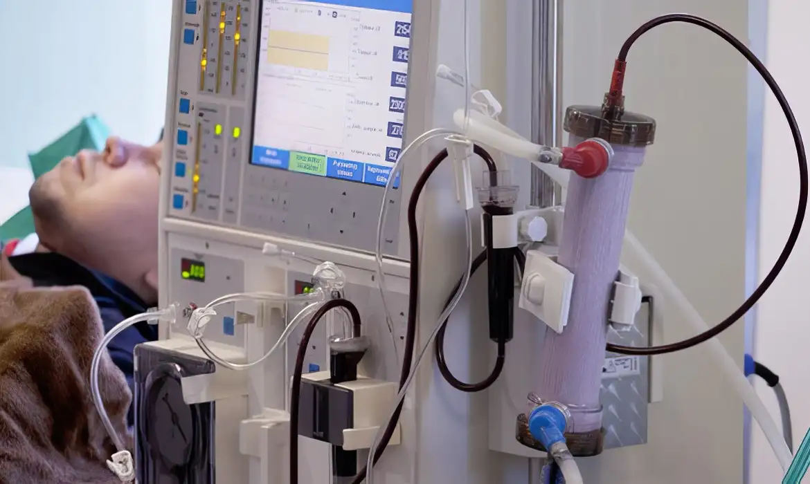 Subdiagnóstico da Doença Renal Crônica Preocupa no Brasil 2 Subdiagnóstico da Doença Renal Crônica Preocupa no Brasil - Imagem do artigo original