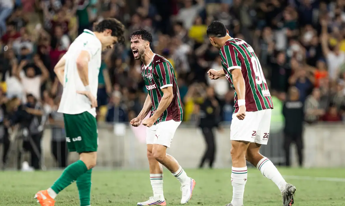 Fluminense Vence Palmeiras de Virada no Brasileirão - Imagem do artigo original
