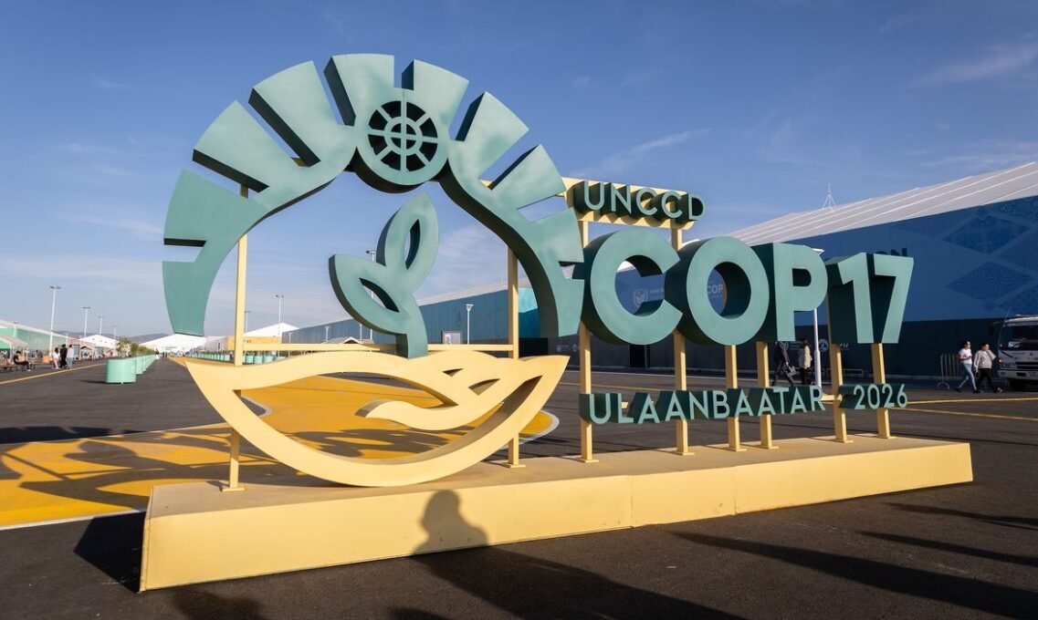 Nordeste busca investimentos para Caatinga na COP17 - Imagem do artigo original