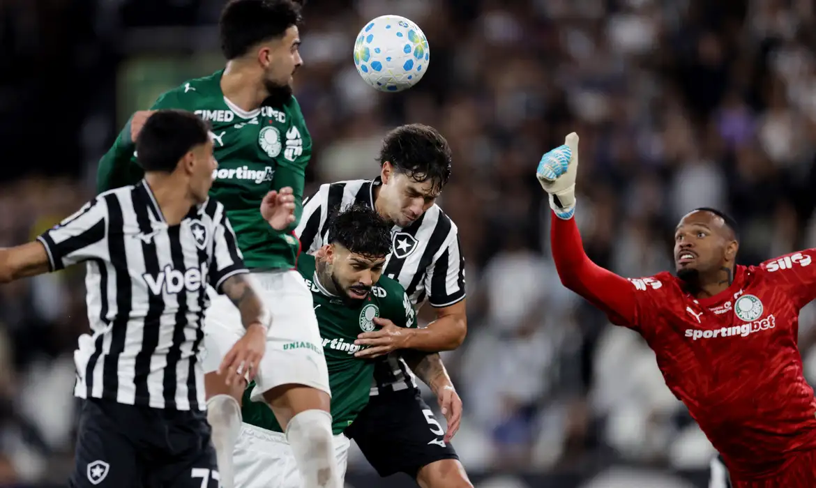 Flamengo Lidera Brasileirão Após Empate entre Botafogo e Palmeiras 2 Flamengo Lidera Brasileirão Após Empate entre Botafogo e Palmeiras - Imagem do artigo original